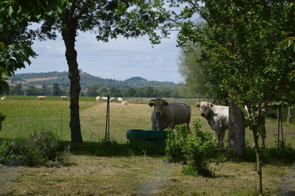Gite A La Ferme De La Bouriette Revel  Exterior foto